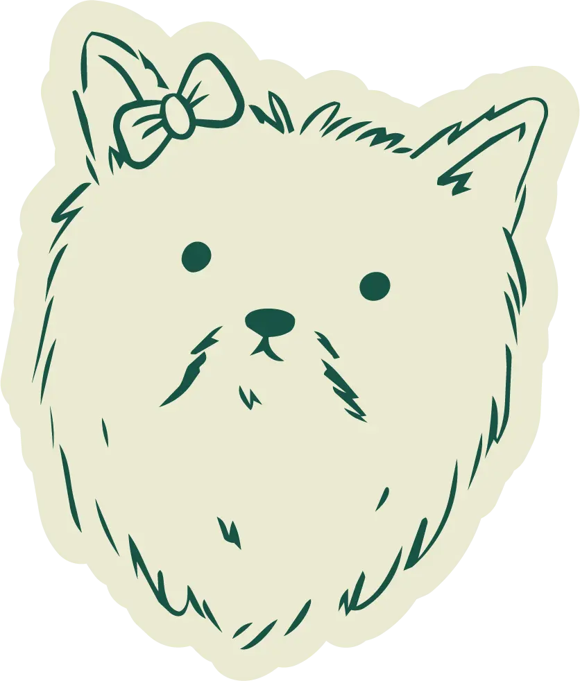 KIRARA